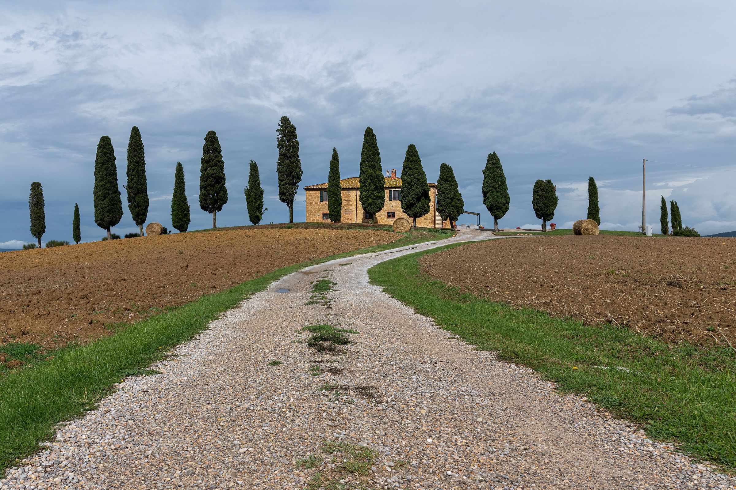 Una strada bianca tra i cipressi della Val d'Orcia